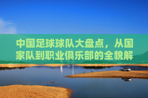 中国足球球队大盘点，从国家队到职业俱乐部的全貌解析
