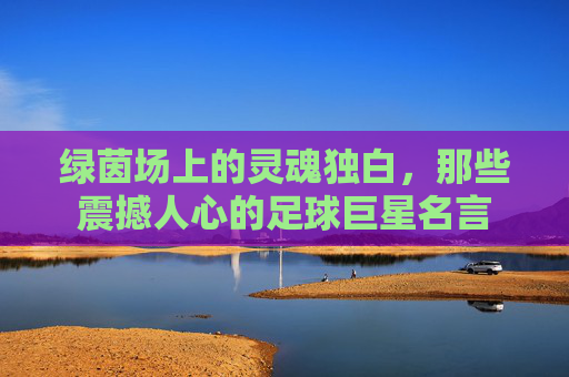 绿茵场上的灵魂独白，那些震撼人心的足球巨星名言