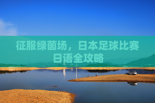 征服绿茵场，日本足球比赛日语全攻略