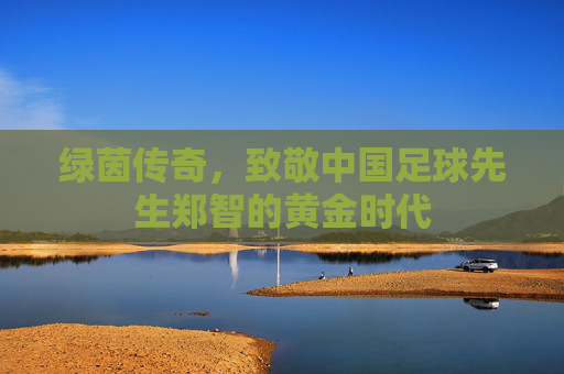 绿茵传奇，致敬中国足球先生郑智的黄金时代