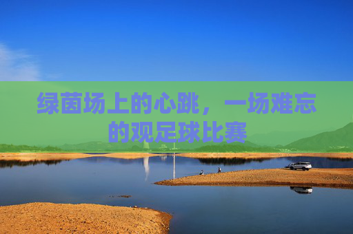 绿茵场上的心跳，一场难忘的观足球比赛