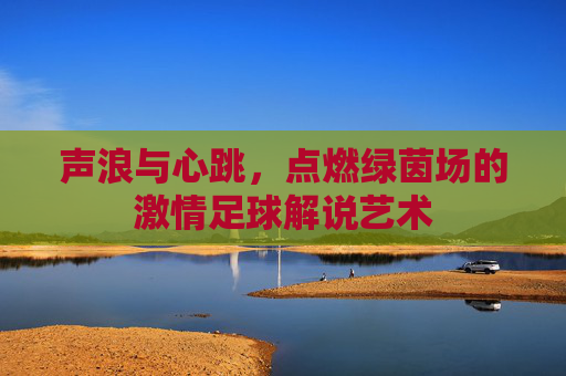 声浪与心跳，点燃绿茵场的激情足球解说艺术
