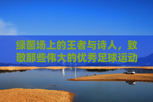 绿茵场上的王者与诗人，致敬那些伟大的优秀足球运动员