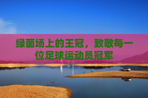 绿茵场上的王冠，致敬每一位足球运动员冠军