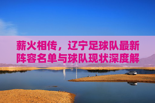 薪火相传，辽宁足球队最新阵容名单与球队现状深度解析