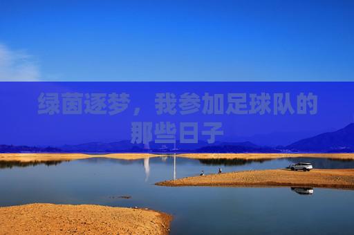 绿茵逐梦，我参加足球队的那些日子
