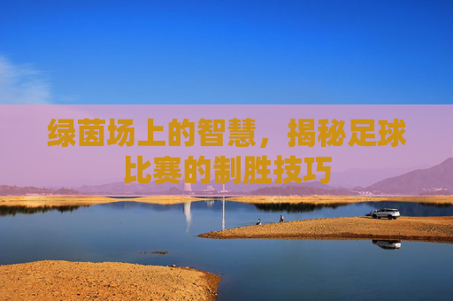 绿茵场上的智慧，揭秘足球比赛的制胜技巧