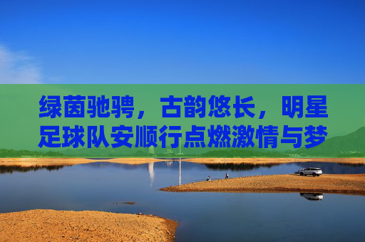 绿茵驰骋，古韵悠长，明星足球队安顺行点燃激情与梦想