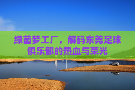 绿茵梦工厂，解码东莞足球俱乐部的热血与荣光