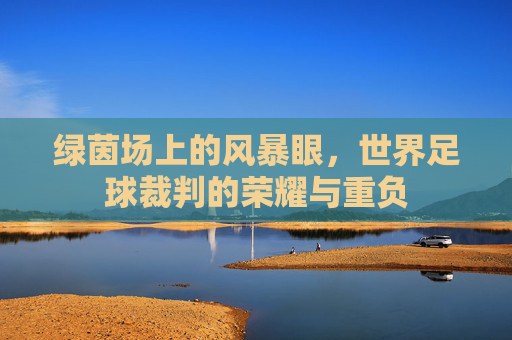 绿茵场上的风暴眼，世界足球裁判的荣耀与重负
