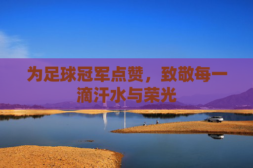 为足球冠军点赞，致敬每一滴汗水与荣光
