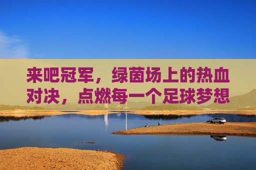 来吧冠军，绿茵场上的热血对决，点燃每一个足球梦想