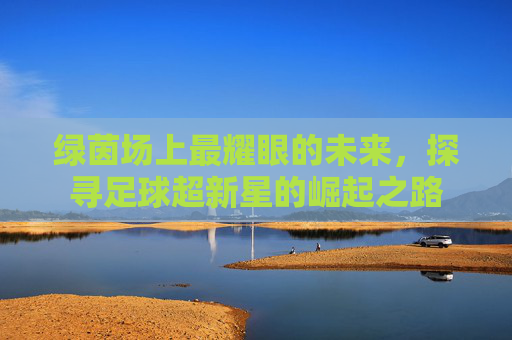 绿茵场上最耀眼的未来，探寻足球超新星的崛起之路