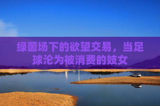 绿茵场下的欲望交易，当足球沦为被消费的妓女