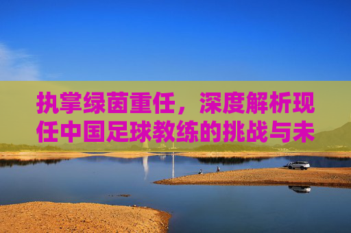 执掌绿茵重任，深度解析现任中国足球教练的挑战与未来