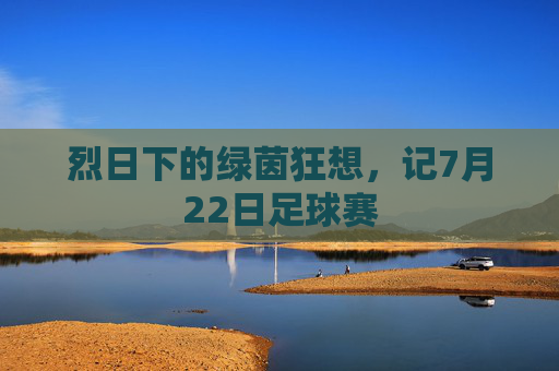 烈日下的绿茵狂想，记7月22日足球赛