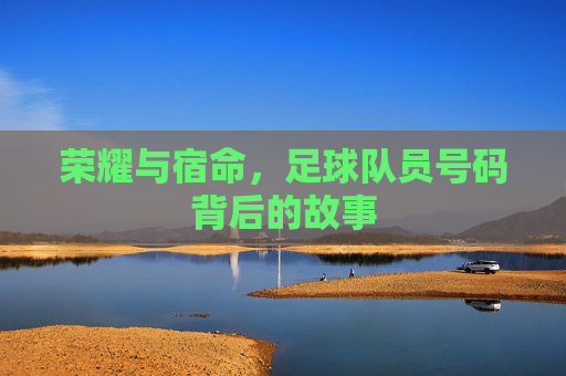 荣耀与宿命，足球队员号码背后的故事