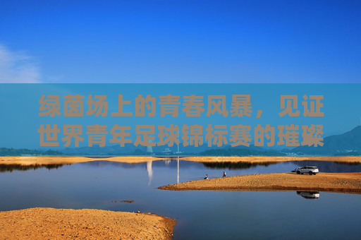 绿茵场上的青春风暴，见证世界青年足球锦标赛的璀璨星光