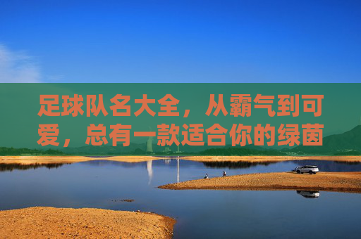 足球队名大全，从霸气到可爱，总有一款适合你的绿茵梦想