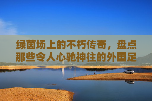绿茵场上的不朽传奇，盘点那些令人心驰神往的外国足球明星
