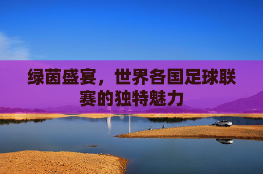 绿茵盛宴，世界各国足球联赛的独特魅力