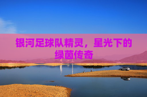 银河足球队精灵，星光下的绿茵传奇