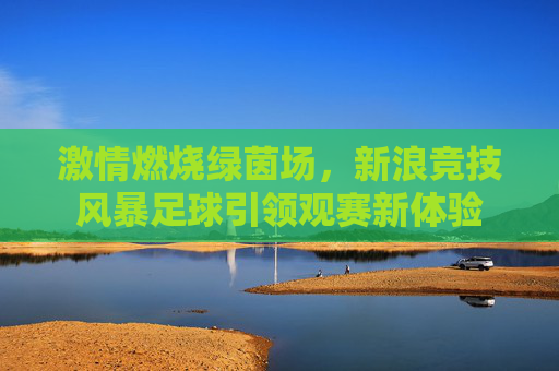 激情燃烧绿茵场，新浪竞技风暴足球引领观赛新体验