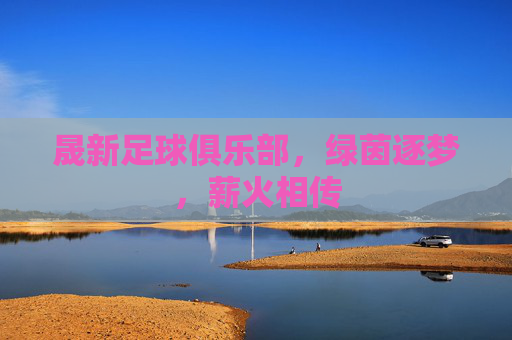 晟新足球俱乐部，绿茵逐梦，薪火相传
