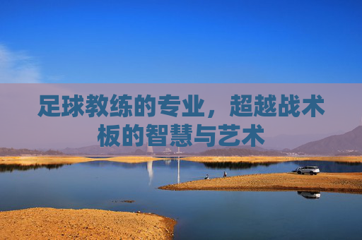 足球教练的专业，超越战术板的智慧与艺术