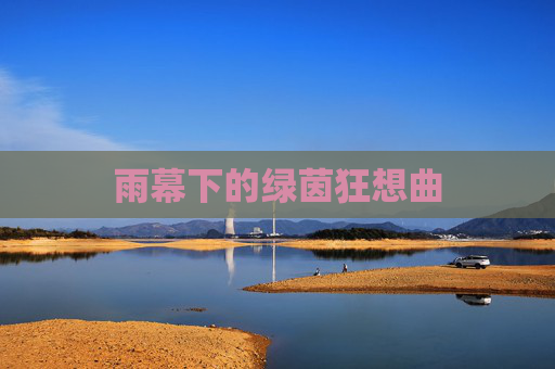 雨幕下的绿茵狂想曲