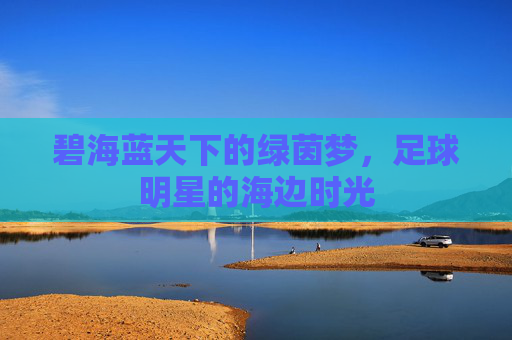 碧海蓝天下的绿茵梦，足球明星的海边时光