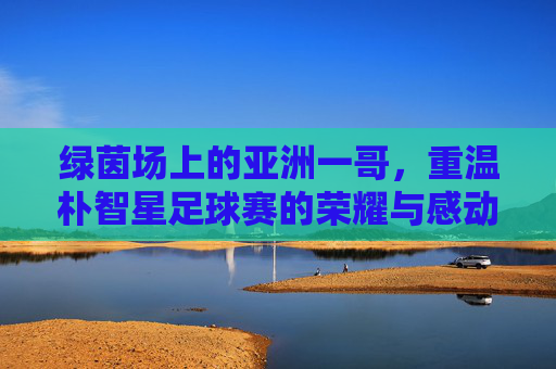绿茵场上的亚洲一哥，重温朴智星足球赛的荣耀与感动