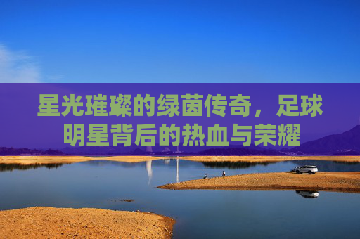 星光璀璨的绿茵传奇，足球明星背后的热血与荣耀