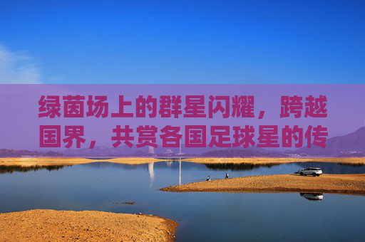 绿茵场上的群星闪耀，跨越国界，共赏各国足球星的传奇风采