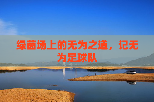 绿茵场上的无为之道，记无为足球队