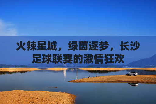 火辣星城，绿茵逐梦，长沙足球联赛的激情狂欢