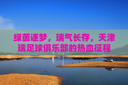 绿茵逐梦，瑞气长存，天津瑞足球俱乐部的热血征程