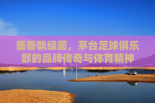 酱香飘绿茵，茅台足球俱乐部的品牌传奇与体育精神