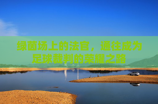 绿茵场上的法官，通往成为足球裁判的荣耀之路