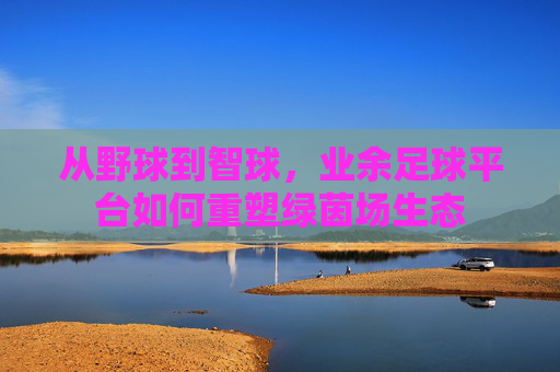 从野球到智球，业余足球平台如何重塑绿茵场生态