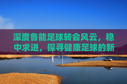 深度鲁能足球转会风云，稳中求进，探寻健康足球的新篇章