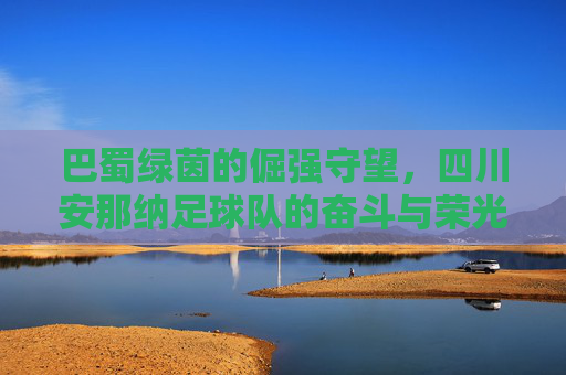 巴蜀绿茵的倔强守望，四川安那纳足球队的奋斗与荣光
