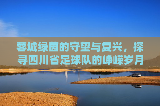蓉城绿茵的守望与复兴，探寻四川省足球队的峥嵘岁月与未来希望