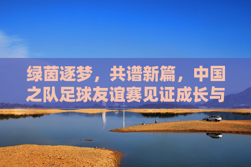 绿茵逐梦，共谱新篇，中国之队足球友谊赛见证成长与突破