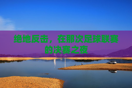 绝地反击，在那次足球联赛的决赛之夜
