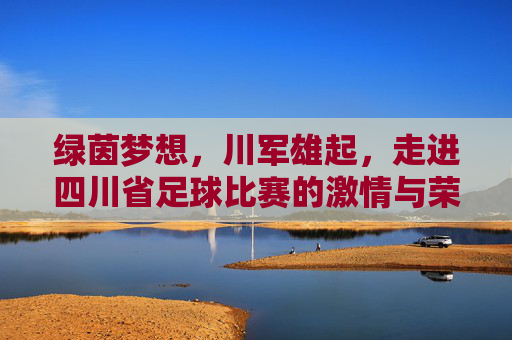 绿茵梦想，川军雄起，走进四川省足球比赛的激情与荣耀