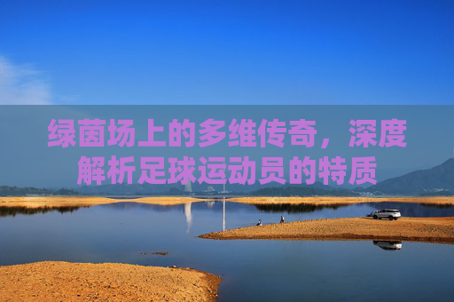 绿茵场上的多维传奇，深度解析足球运动员的特质
