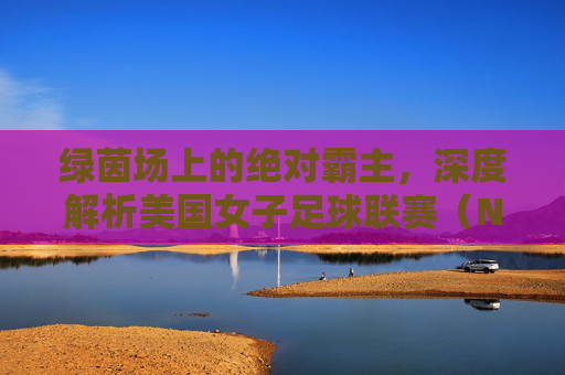 绿茵场上的绝对霸主，深度解析美国女子足球联赛（NWSL）的崛起与挑战