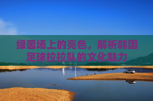 绿茵场上的亮色，解析韩国足球拉拉队的文化魅力