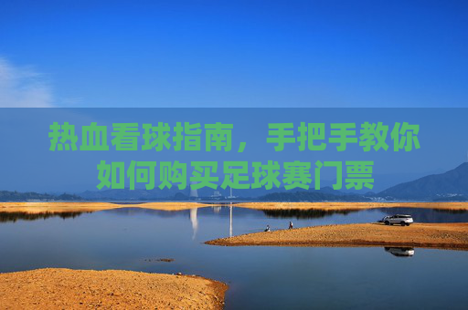 热血看球指南，手把手教你如何购买足球赛门票